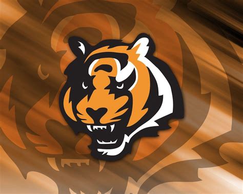Cincinnati Bengals Wallpapers Wallpaper Cave