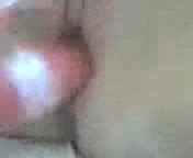 Rabbit Amateur Porn Xhamster