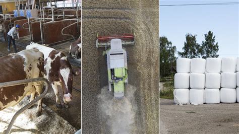Djurstölder och hot vardag för bönderna nu ska brotten kartläggas