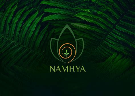 namhya net worth
