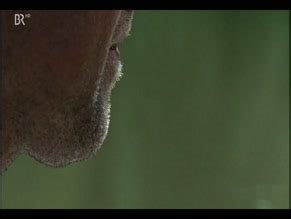 Nina Hartmann Nude Aznude