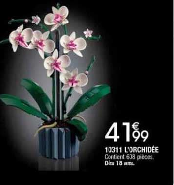 Promo 10311 L orchidée chez Migros France iCatalogue fr