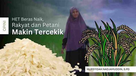 Het Beras Naik Rakyat Dan Petani Makin Tercekik Mediasulsel