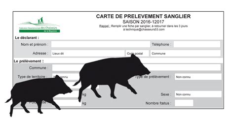 Permis De Chasser En Ligne