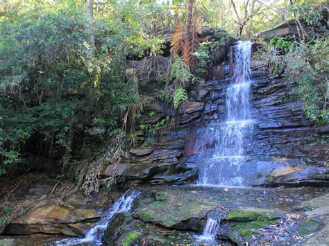 Allenby Park Walk | Sydney, Australia - Official Travel & Accommodation