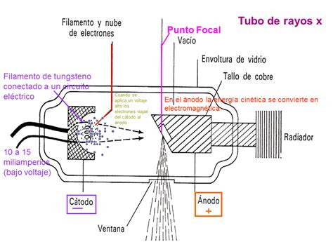Radiología: 1° Parcial APARATO DE RAYOS X
