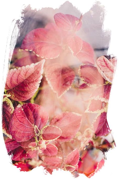 The Health Benefits of Ashwagandha: The Herb of Longevity & Intelligence