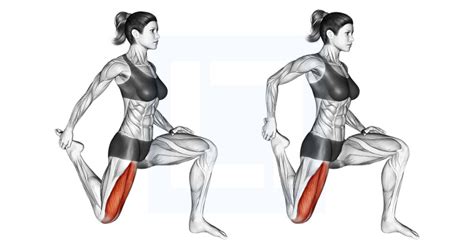 Quadriceps Stretch Guide Benefits And Form