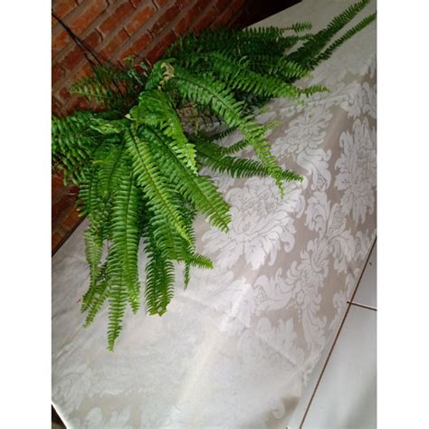 Toalha De Mesa Jacquard Nude Lugares Realeza X Retangular Shopee Brasil