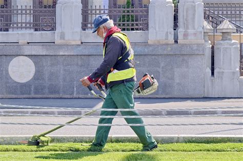 Kako odabrati dobar trimer - Dobro Jutro