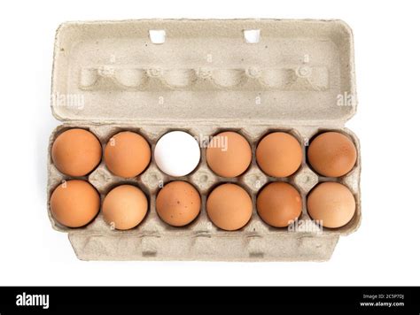 One Dozen Eggs Eleven Brown One White In A Cardboard Egg Carton