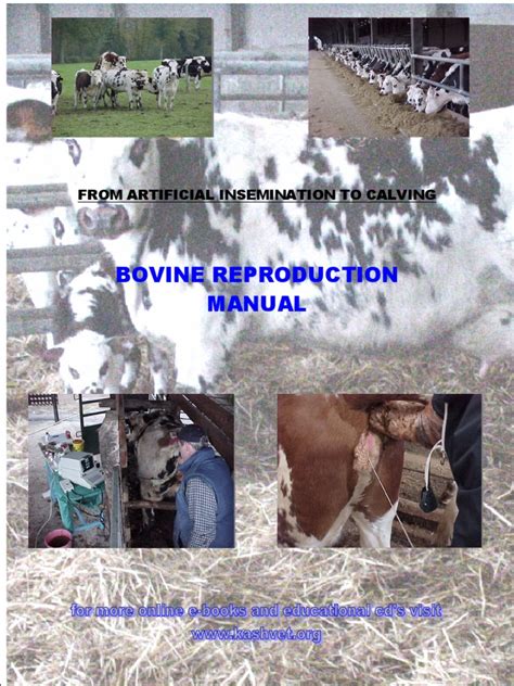Bovine Reproduction Manual | PDF | Cattle | Dairy Cattle