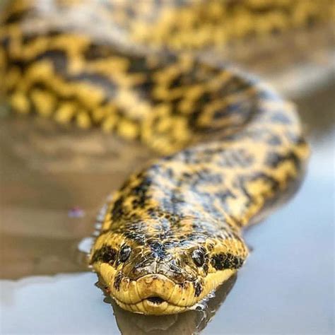 The best zoo in every state in america – Artofit