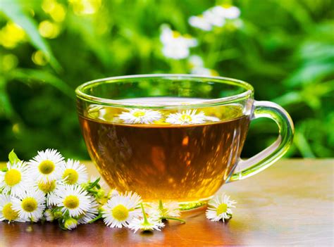 Chamomile Tea Sleep Effects at Janice Resendiz blog