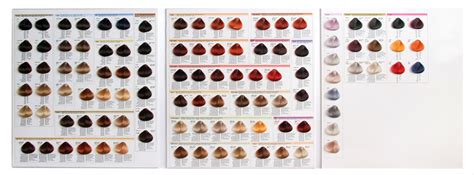 Краска Для Волос Импрессия Палитра Цветов Фото — Nyafoto.ru