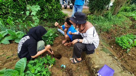 Atasi Kelangkaan Pupuk Di Desa Somalang Kelompok 43 Pengabdian