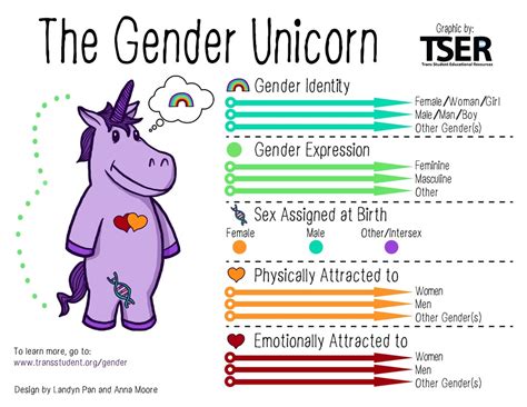 Gender And Sexual Minority Persons Diagram Quizlet