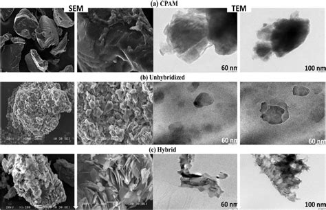 Sem And Tem Micrographs Of Polyacrylamide Cpam A Unhybridized