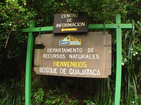 Guajataca Forest