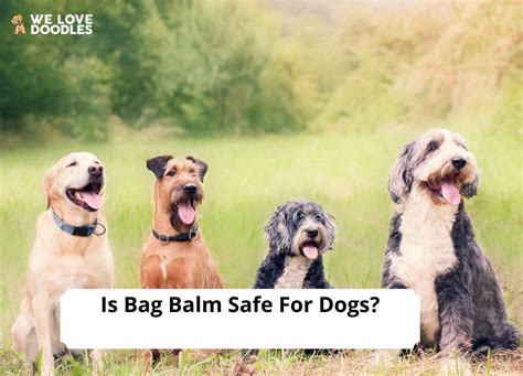 Is Bag Balm Safe For Dogs