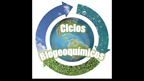 Ciclos Biogeoquímicos Youtube