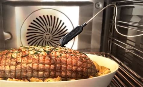 Щуп термометр для мяса | Как правильно пользоваться?