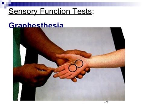 Neurological Assessment Sp07 Webversion