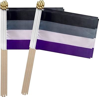 Amazon TSMD Sunset Lesbian Les Pride Stick Flag Small Mini Hand Held LGBT Rainbow Flags