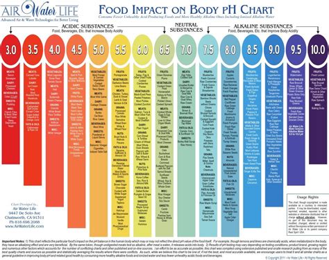 Air Water Life Food Impact On Body Ph Chart - Chart Walls