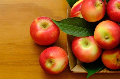 Rockit Apples Everything You Need To Know Minneopa Orchards