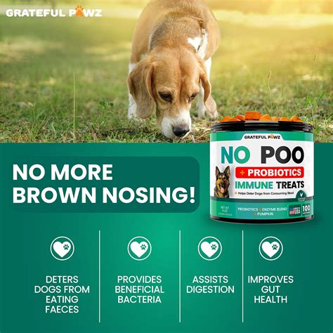 How Bad Is Borax For Dogs