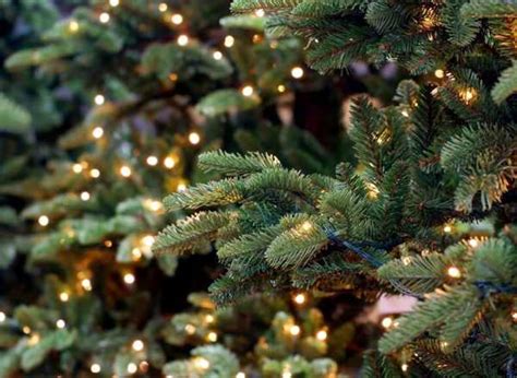 Как и где правильно ставить розетки в вашем доме? | LayfHaki.com