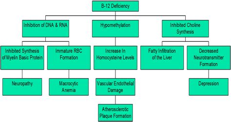 Ataxia - Another Symptom of Gluten Induced Damage | Gluten-Free Society