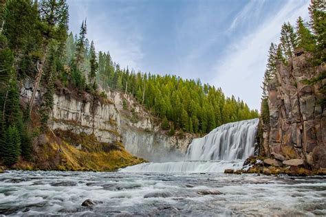 tripadvisor island park cascades  faune de lidaho propose par