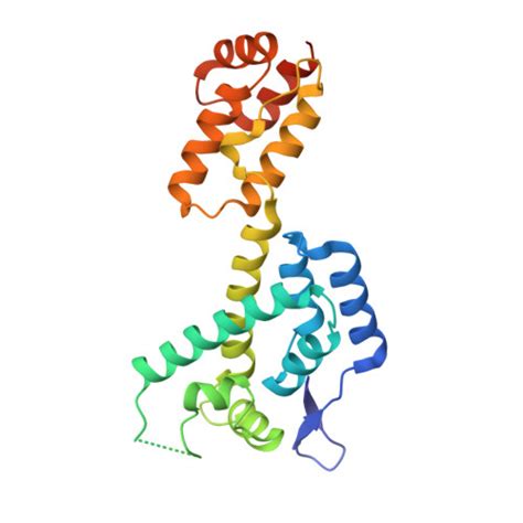 RCSB PDB 8CL1 HIV 1 Mature Capsid Hexamer From CA IP6 CLPs Bound To CPSF6 Peptide