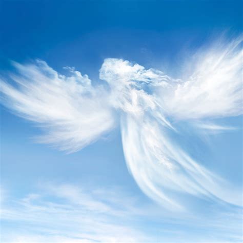 heavenly fragrance oil  wholesale supplies