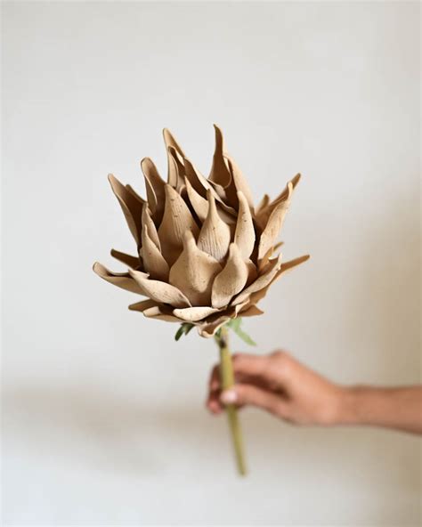 Haste Protea Cor Nude STUDIO GARCIA