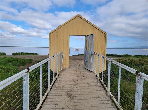 Alviso Marina County Park - Free photo on Pixabay - Pixabay