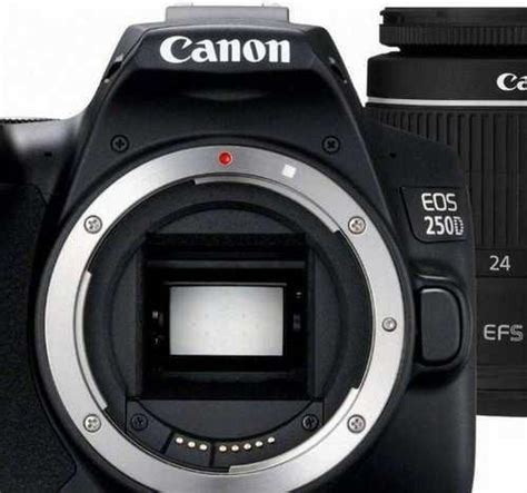 Canon EOS 250D Kit 18-55 IS STM Санкт-Петербург | Фототехника | Festima ...