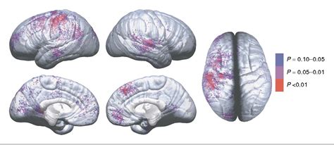 Figure 3 From Mapping Brain Maturation Semantic Scholar