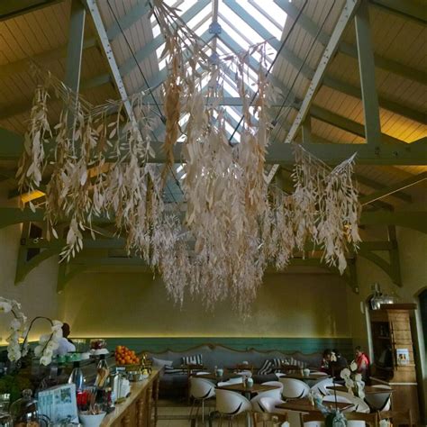 Menu of tashas, Constantia, Cape Town