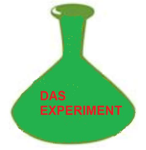 Das Experiment – Medium