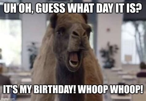 hump day camel Memes & GIFs - Imgflip