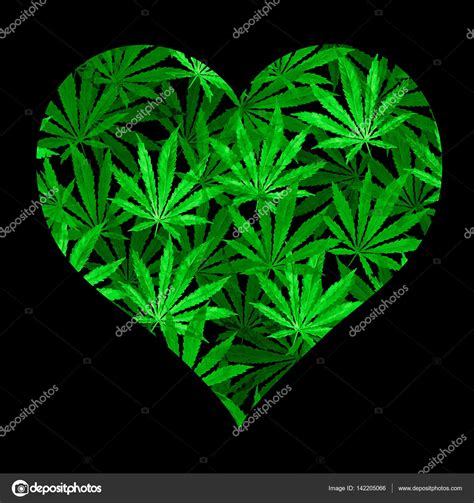 Heart Of Bright Green Cannabis Sativa Leaves — Stock Photo © K