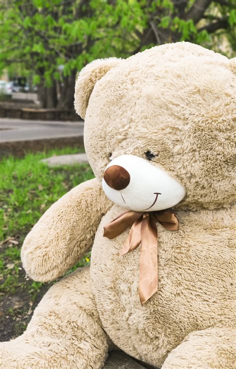 Плюшевые медведи среднего размера в подарок по лучшим ценам!