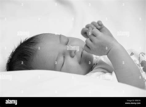 Sleeping Baby Portrait Stock Photo Alamy