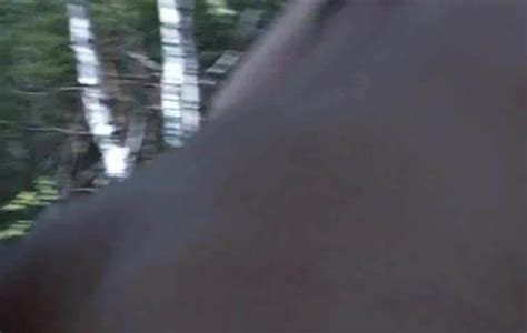 Outdor Sex Und Blowjob In Holz XHamster