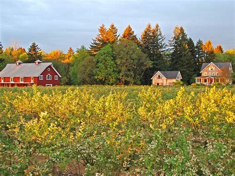 Turismo En Canby 2022 Viajes A Canby Oregón Opiniones Consejos Y