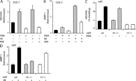 Vegf A Stimulates Adam17 Dependent Shedding Of Vegfr2 And Crosstalk