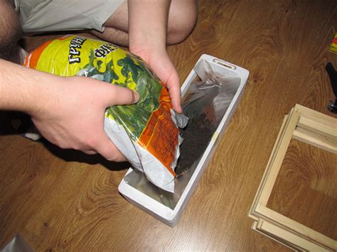 Зелень на подоконнике | Kucher's Life